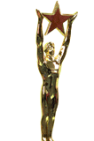 gold award 2
