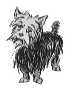 The_Wonderful_Wizard_of_Oz,_013