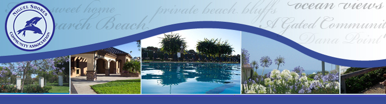 niguel shores logo niguel shores logo