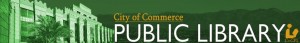 commercebannerv6